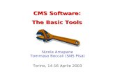 CMS Software: The Basic Tools Nicola Amapane Tommaso Boccali (SNS Pisa) Torino, 14-16 Aprile 2003.
