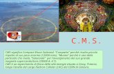 CMS significa Compact Muon Solenoid: Compatto perchè risulta piccolo rispetto al suo peso enorme (12000 tons), Muone perchè è una delle particelle che.