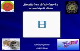 Enrico Fragiacomo INFN Trieste Simulazione dei rivelatori a microstrip di silicio.