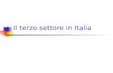 Il terzo settore in Italia. Il caso italiano Elementi tipici del caso italiano La composizione e le dimensioni del fenomeno.