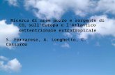 Ricerca di aree pozzo e sorgente di CO 2 sull'Europa e l'Atlantico settentrionale extratropicale S. Ferrarese, A. Longhetto, C. Cassardo.