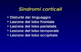 Sindromi corticali Disturbi del linguaggio Lesione del lobo frontale Lesione del lobo parietale Lesione del lobo temporale Lesione del lobo occipitale.