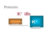 Potassio K+K+K+K+ills Intracellulare (ICF) Compartimento Extracellulare (ECF) Internal Balance K+K+ K+K+ External Balance Excretion 3.5-5.0 meq/L 120-150.