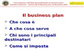Fare impresa: dallidea imprenditoriale al business plan Facoltà di Scienze – Università di Messina,15 e 16 dicembre 2004 Il business plan Che cosa è Che.