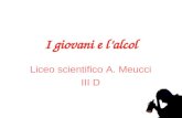 I giovani e lalcol Liceo scientifico A. Meucci III D.