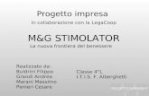 Progetto impresa Realizzato da: Buldrini Filippo Grandi Andrea Marani Massimo Panieri Cesare M&G STIMOLATOR In collaborazione con la LegaCoop La nuova.