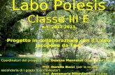 Labo Poiesis Classe III E a.s. 2012-2013 Progetto in collaborazione con il Liceo Jacopone da Todi Coordinatori del progetto Prof. Deanna Mannaioli (esperto.
