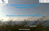 Robotica e Processi Metacognitivi Lucia Abiuso Nicolosi, 26 luglio 2013 1° Meeting Docenti Virtuali e Insegnanti 2.0.