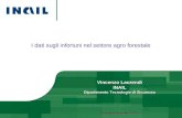 I dati sugli infortuni nel settore agro forestale Vincenzo Laurendi INAIL Dipartimento Tecnologie di Sicurezza Bologna 8 Novembre 2012 Bologna 8 Novembre.