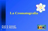 1 La Cromatografia Prof. S. Consoli Prof. A. Percolla.