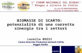 1° FORUM NAZIONALE SUL BIOGAS Biogas e ricerca in Italia BIOMASSE DI SCARTO: potenzialità di una corretta sinergia tra i settori Lorella ROSSI Centro Ricerche.