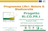 Educazione Ambientale nelle Scuole Progetto RI.CO.PR.I. a cura della Provincia di Potenza Programma Life+ Natura & Biodiversità Progetto RI.CO.PR.I Ripristino.