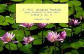 S. M.S. Arcadia Pertini Anno Scolastico 2011-2012 CLASSE I sez. ORIPRODUZIONE.