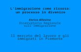 Limmigrazione come risorsa: un processo in divenire Enrico Allasino Osservatorio Regionale sullImmigrazione Il mercato del lavoro e gli immigrati in Piemonte.