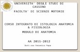 UNIVERSITA DEGLI STUDI DI CASSINO FACOLTA DI SCIENZE MOTORIE CORSO INTEGRATO DI ISTOLOGIA ANATOMIA & FISIOLOGIA MODULO DI ANATOMIA AA 2011-2012 Dott.ssa