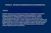MODULO: TECNICHE ANGIOGRAFICHE ED EMODINAMICA acquisire conoscenze competenze di tecniche di radiologia interventistica presso le Unità operative di Angiografia.