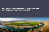 POTENZIALE AGRICOLO DEL MONTENEGRO: OPPORTUNITA DI INVESTIMENTO