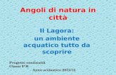 Angoli di natura in città Il Lagora: un ambiente acquatico tutto da scoprire Progetto continuità Classe I^B Anno scolastico 2012/13.