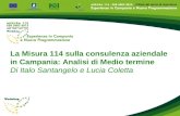 La Misura 114 sulla consulenza aziendale in Campania: Analisi di Medio termine Di Italo Santangelo e Lucia Coletta.