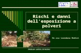 Rischi e danni dellesposizione a polveri Dr.ssa Loredana Bedini ERGOLAB - UNITUS, 25/10/2012.