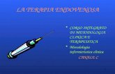 1 LA TERAPIA ENDOVENOSA CORSO INTEGRATO DI METODOLOGIA CLINICA E TERAPEUTICA Metodologia infermieristica clinica CANALE C.