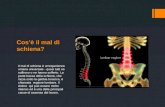 Cosè il mal di schiena? Il mal di schiena è un'esperienza umana universale - quasi tutti ne soffrono o ne hanno sofferto. La parte bassa della schiena,