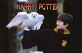 Harry Potter è una serie di film, tratti da una collana di romanzi che ha avuto grande successo in tutto il mondo. Piace molto ai ragazzi perché è avventuroso.