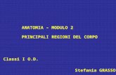 ANATOMIA – MODULO 2 PRINCIPALI REGIONI DEL CORPO Classi I O.D. Stefania GRASSO.