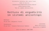 Rottura di ergodicità in sistemi anisotropi Università Cattolica del Sacro Cuore Sede di Brescia Facoltà di Scienze Matematiche Fisiche e Naturali Corso.