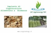 Impianto di Cogenerazione Alimentata a Biomassa .