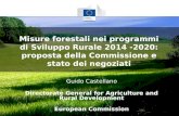 Misure forestali nei programmi di Sviluppo Rurale 2014 -2020: proposta della Commissione e stato dei negoziati Guido Castellano Directorate General for.