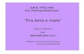 S.M.S. TITO LIVIO D.S. Prof.ssa Elena Fucci Fra terra e mare Progetto elaborato dagli alunni della Classe I sez. I Referenti: Prof.ssa Emanuela Scarci.