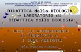 A cura delle ins. G. Panzica e V. Sanfilippo DIDATTICA della BIOLOGIA e LABORATORIO di DIDATTICA della BIOLOGIA UNITÀ DI APPRENDIMENTO: IL TERRICCIO e.