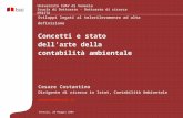 Concetti e stato dellarte della contabilità ambientale Venezia, 20 Maggio 2009 Cesare Costantino Dirigente di ricerca in Istat, Contabilità Ambientale.
