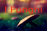 I Funghi. Il Regno dei Funghi Classificati scientificamente da Linneo e inizialmente appartenenti nel regno delle piante Elevati al rango di regno da.