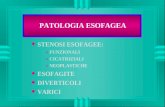 PATOLOGIA ESOFAGEA u STENOSI ESOFAGEE: »FUNZIONALI »CICATRIZIALI »NEOPLASTICHE u ESOFAGITE u DIVERTICOLI u VARICI.