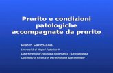 Prurito e condizioni patologiche accompagnate da prurito Pietro Santoianni Università di Napoli Federico II Dipartimento di Patologia Sistematica - Dermatologia.