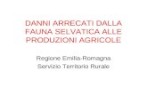 DANNI ARRECATI DALLA FAUNA SELVATICA ALLE PRODUZIONI AGRICOLE Regione Emilia-Romagna Servizio Territorio Rurale.