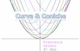 Francesca Serato 3^ ASo. Il concetto di curva ha conosciuto una profonda evoluzione negli ultimi secoli. Con la nascita e lo sviluppo nel 600 della geometria.