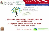 Sistemi educativi locali per la sostenibilità Limpegno della Provincia di Roma con la Rete dei L.E.A Tivoli, 13 novembre 2012.