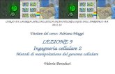 LEZIONE 9 Ingegneria cellulare 2 Metodi di manipolazione del genoma cellulare Valeria Benedusi CORSO DI LAUREA SPECIALISTICA IN BIOTECNOLOGIE DEL FARMACO.