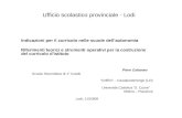 Indicazioni per il curricolo nelle scuole dellautonomia Riferimenti teorici e strumenti operativi per la costruzione del curricolo distituto Piero Cattaneo.