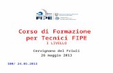 Corso di Formazione per Tecnici FIPE I LIVELLO Cervignano del Friuli 26 maggio 2013 100/ 24.05.2013.