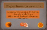 Alunna Giovanna Di Leva, circolo didattico Giovanni Pascoli Grumo Nevano.