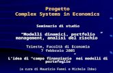 Progetto Complex Systems in Economics Seminario di studio Modelli dinamici, portfolio management, analisi del rischio Trieste, Facoltà di Economia 7 febbraio.