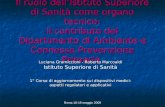 Roma 18-19 maggio 2009 Il ruolo dellIstituto Superiore di Sanità come organo tecnico: il contributo del Dipartimento di Ambiente e Connessa Prevenzione.