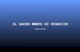 IL SACRO MONTE DI OSSUCCIO Cenni storici. Il Sacro Monte di Ossuccio, sul lago e in diocesi di Como, si è costituito nel XVII secolo, in pochi decenni,