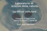 Laboratorio di scienze della natura La Mitosi cellulare Classe 2-3 ragioneria Anno Scolastico 2008-09 Prof. Aldo Marinelli.