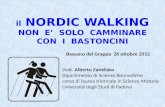 Il NORDIC WALKING NON E SOLO CAMMINARE CON I BASTONCINI Bassano del Grappa 26 ottobre 2012 Dott. Alberto Zanellato Dipartimento di Scienze Biomediche corso.