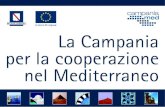 Programma Progetti Paese di Partenariato Regione Campania e Paesi Terzi del Mediterraneo Egitto, Israele, Marocco, Tunisia e Turchia VICE PRESIDENZA GIUNTA.